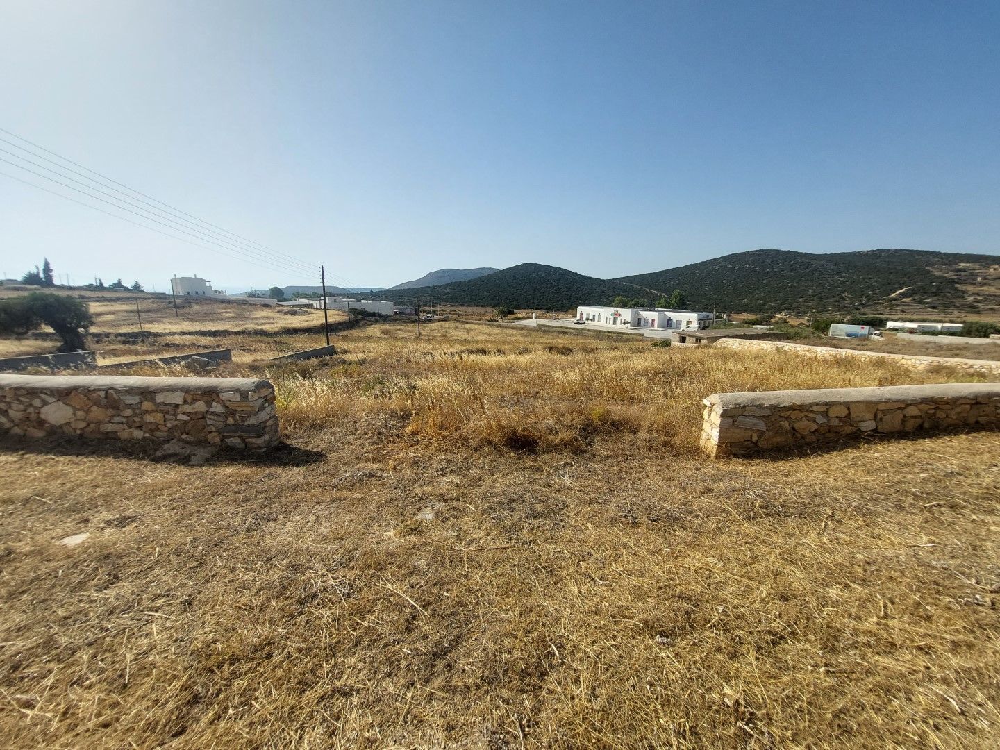 1000 m² Plot