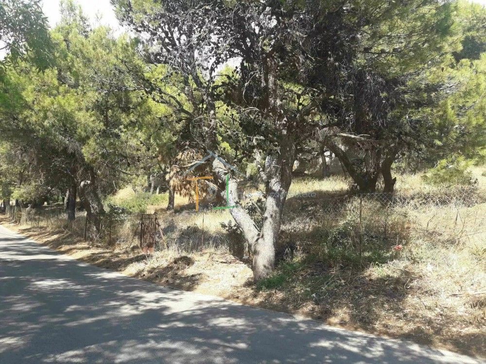 Οικόπεδο 976τ.μ.