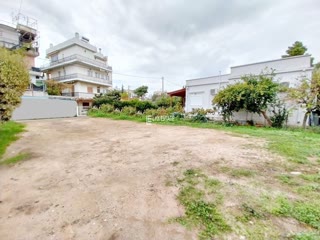 239 m² Plot