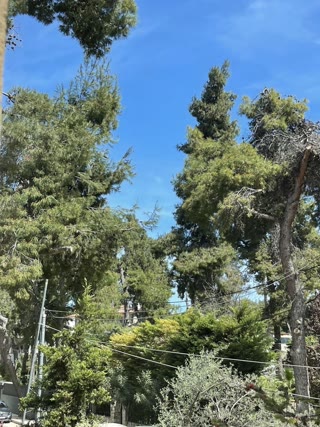 800 m² Plot