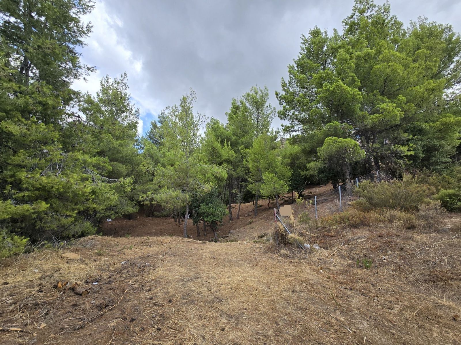 800 m² Plot