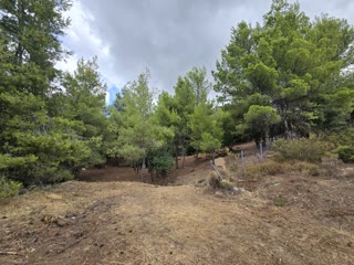 800 m² Plot