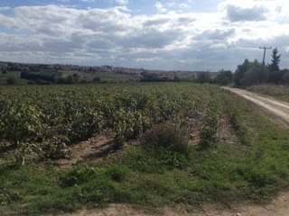 10700 m² Parcel