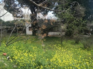 730 m² Plot