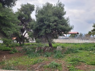 500 m² Plot