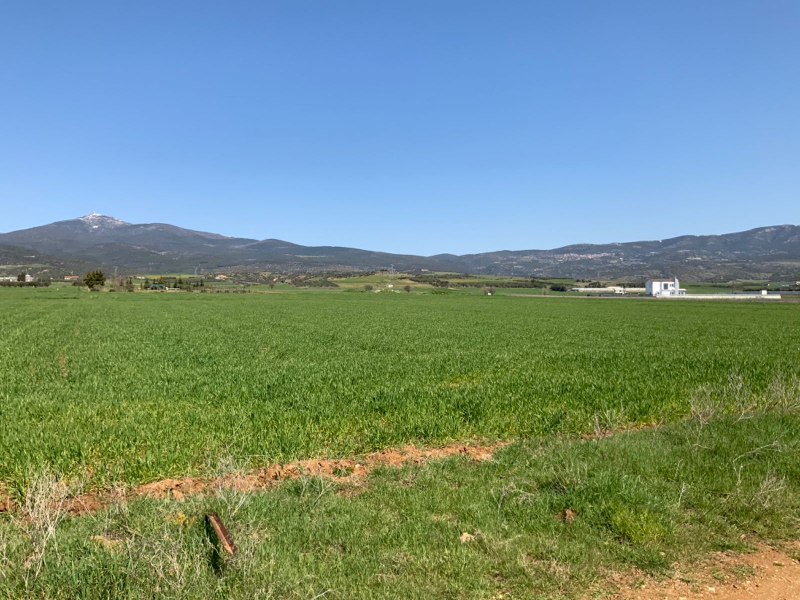 8200 m² Parcel