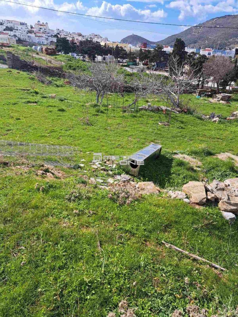 Αγροτεμάχιο 4023 τ.μ.