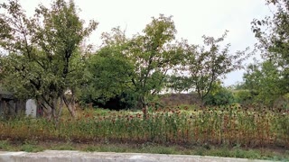 Продам 1,5 этажний будинок