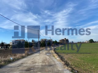 16162 m² Parcel