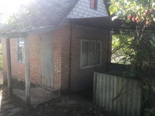Dacha Plot