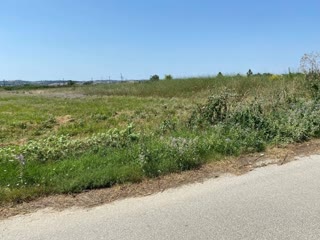 9200 m² Parcel