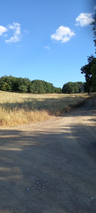 5700 m² Parcel