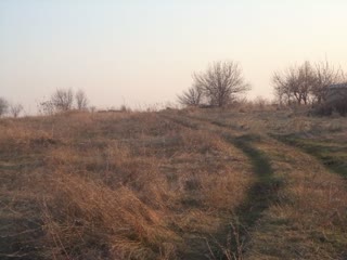 Urgent sale of a plot for construction in Cherkaska Lozova (15 acres)