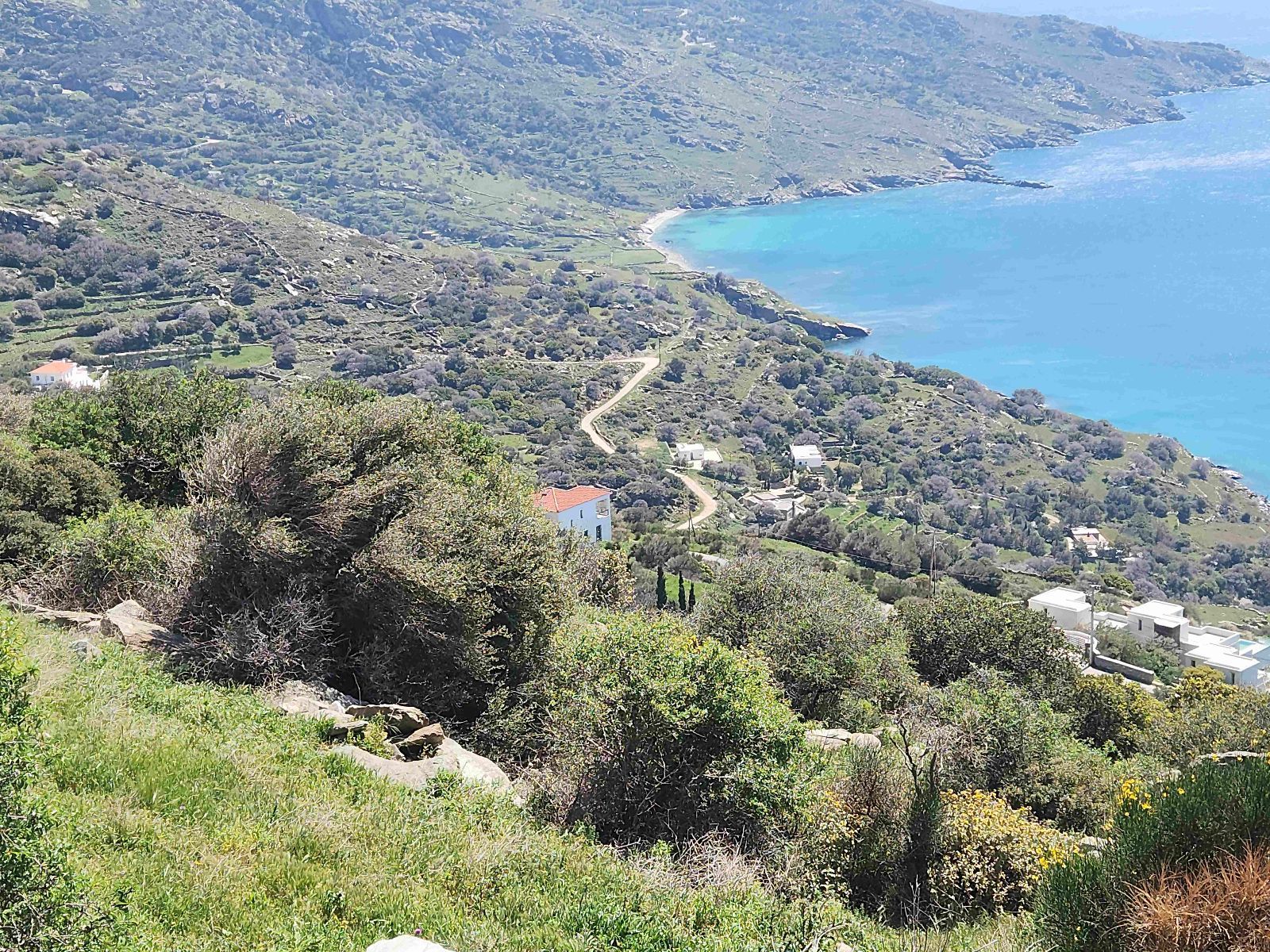 Αγροτεμάχιο 12447 τ.μ.