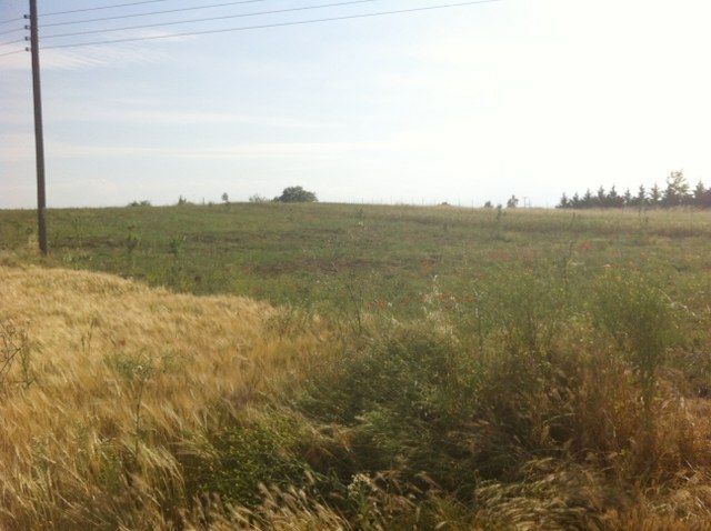 Участок 5000 м²