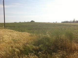 Участок 5000 м²