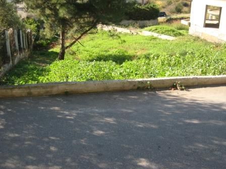 750 m² Plot