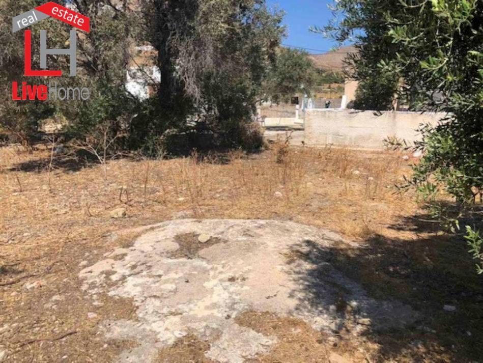 Οικόπεδο 368 τ.μ.