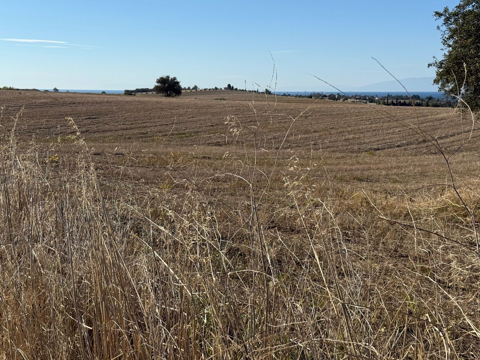Parcel of 8333 m²