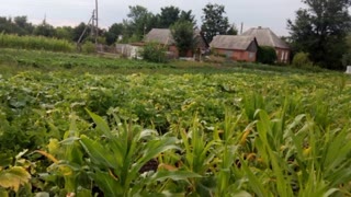 Продам будинок, терміново