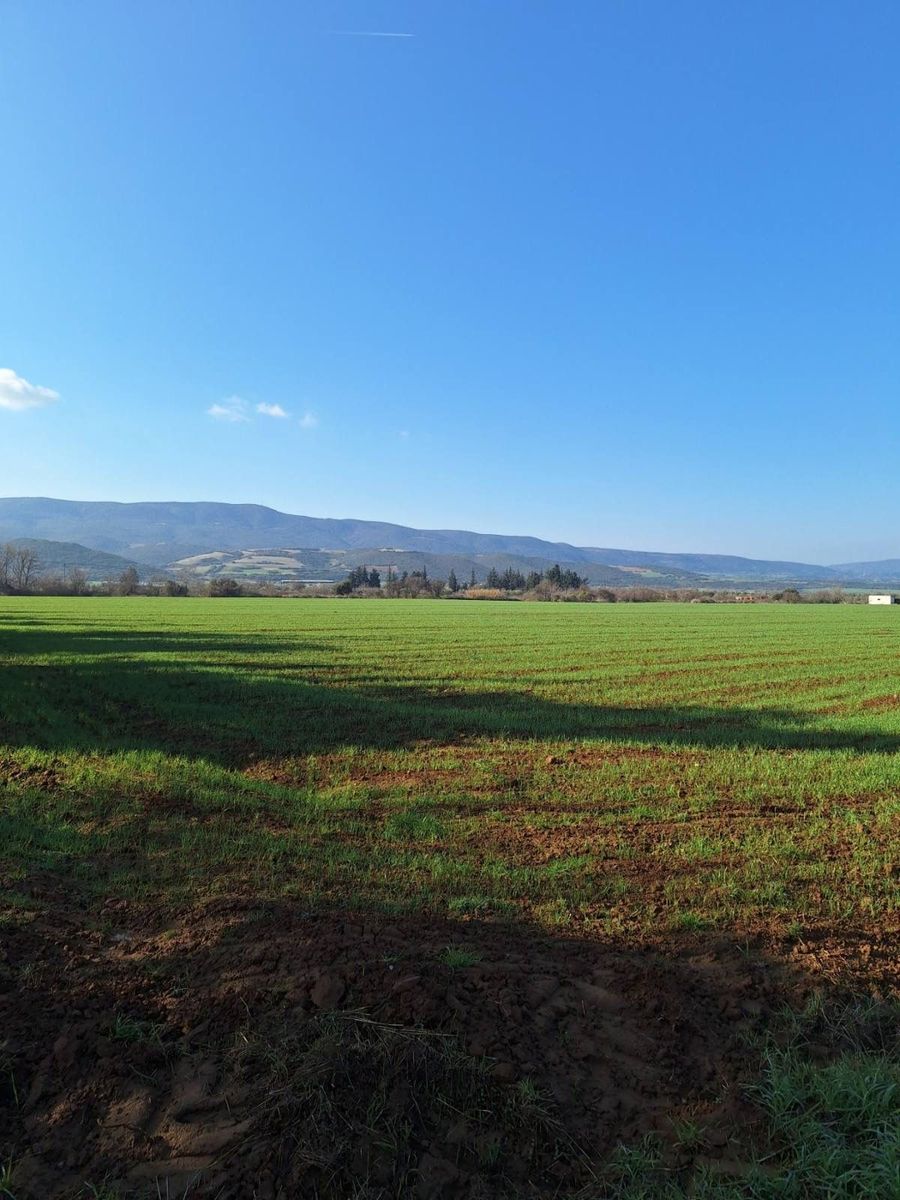 60000 m² Parcel