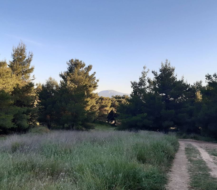 Οικόπεδο 550τ.μ.