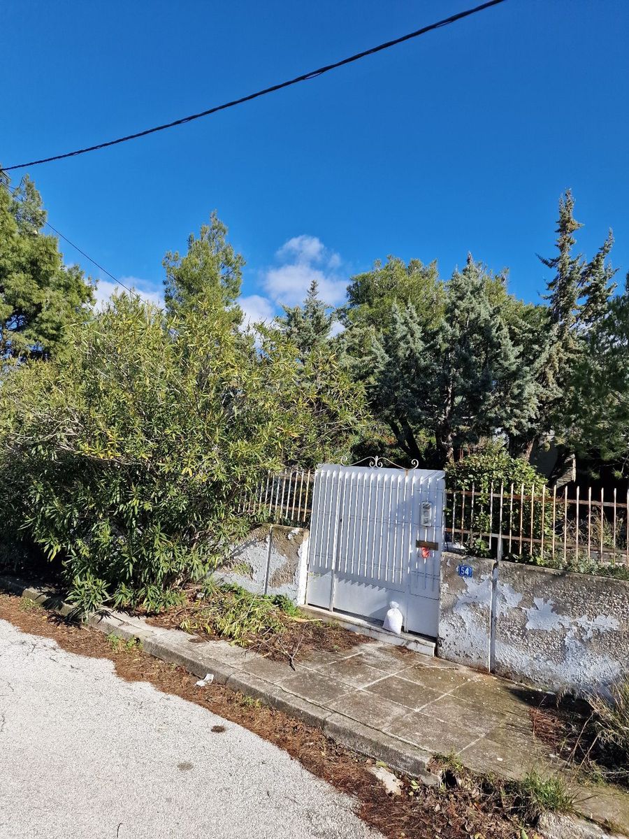 Οικόπεδο 1200τ.μ.