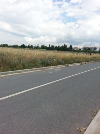 2000 m² Plot