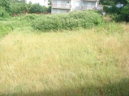 560 m² Plot