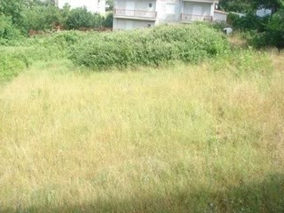 560 m² Plot