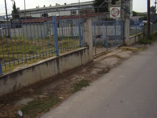 Αγροτεμάχιο 4336 τ.μ.