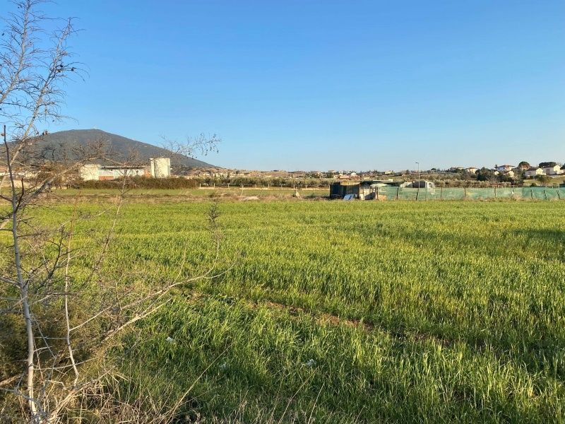7650 m² Parcel