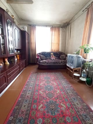 Продаж. 2 великі кімнати (49 м2) зі стелями 3м! вул. Біологічна, Диканівка