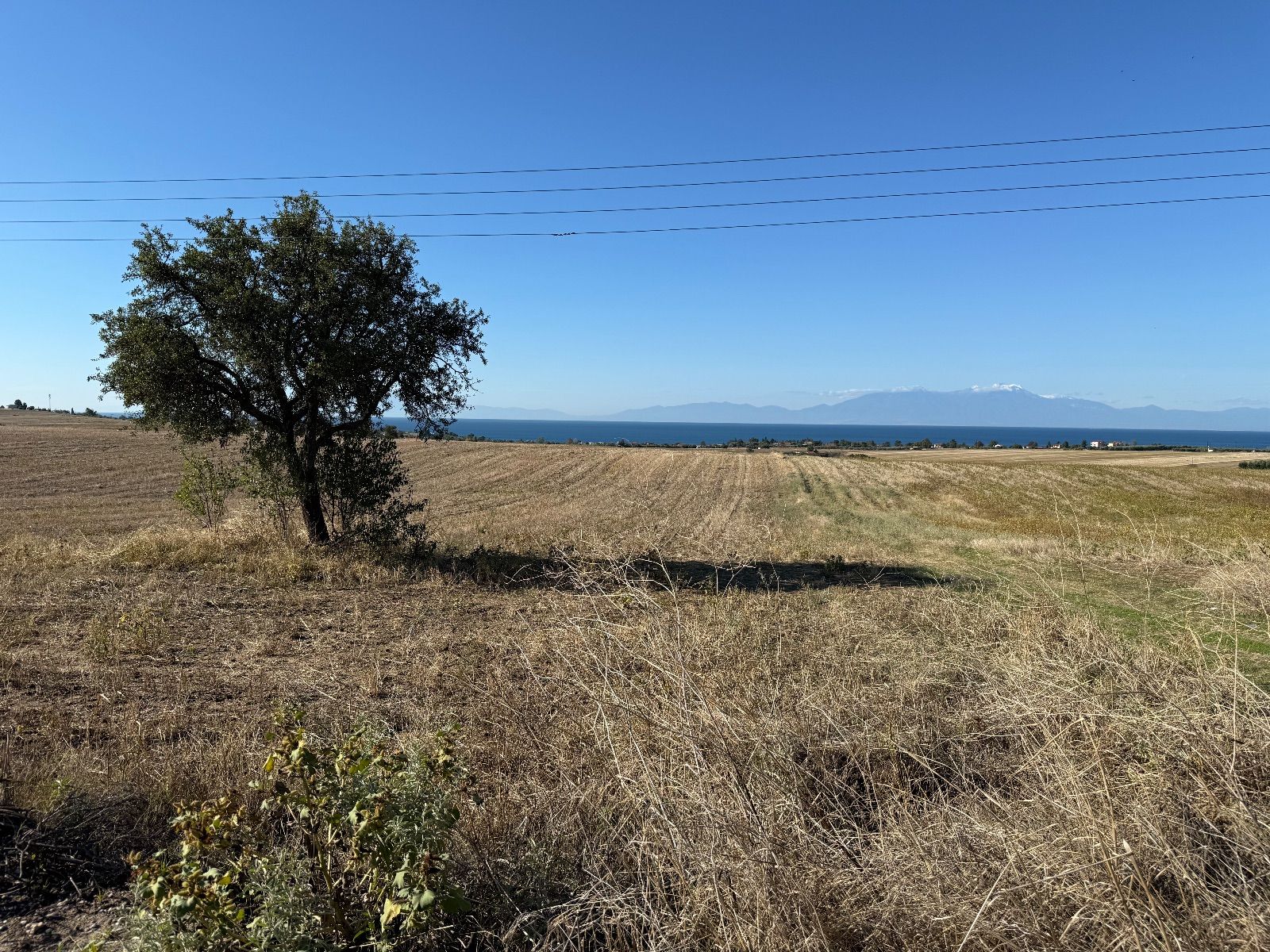 Parcel of 8333 m²