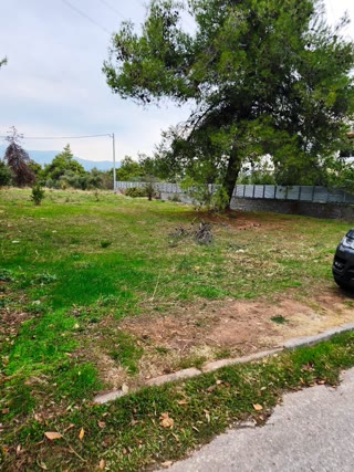 758 m² Plot