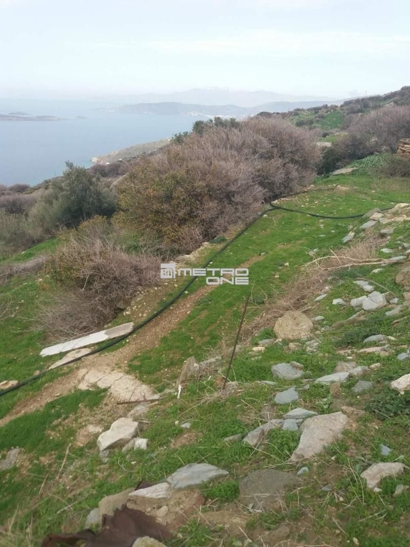 Αγροτεμάχιο 4035τ.μ.