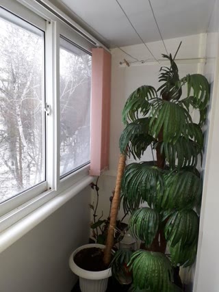 For Sale 2-room Apartment