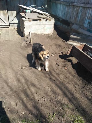 Продам  дом в