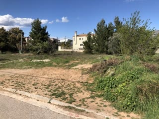 2600 m² Plot