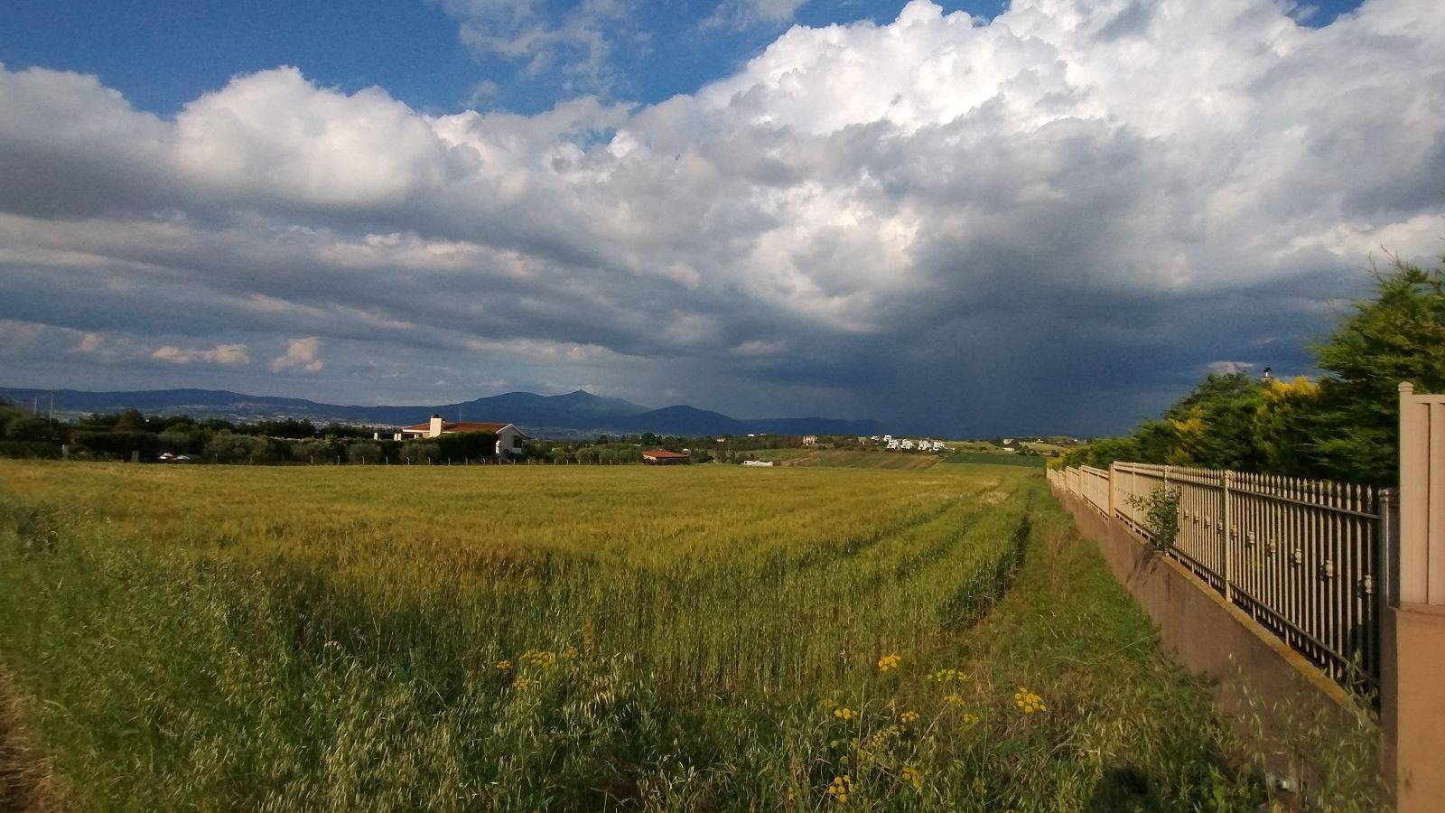 5600 m² Parcel