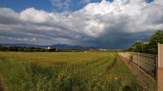 5600 m² Parcel