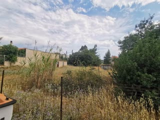 480 m² Plot
