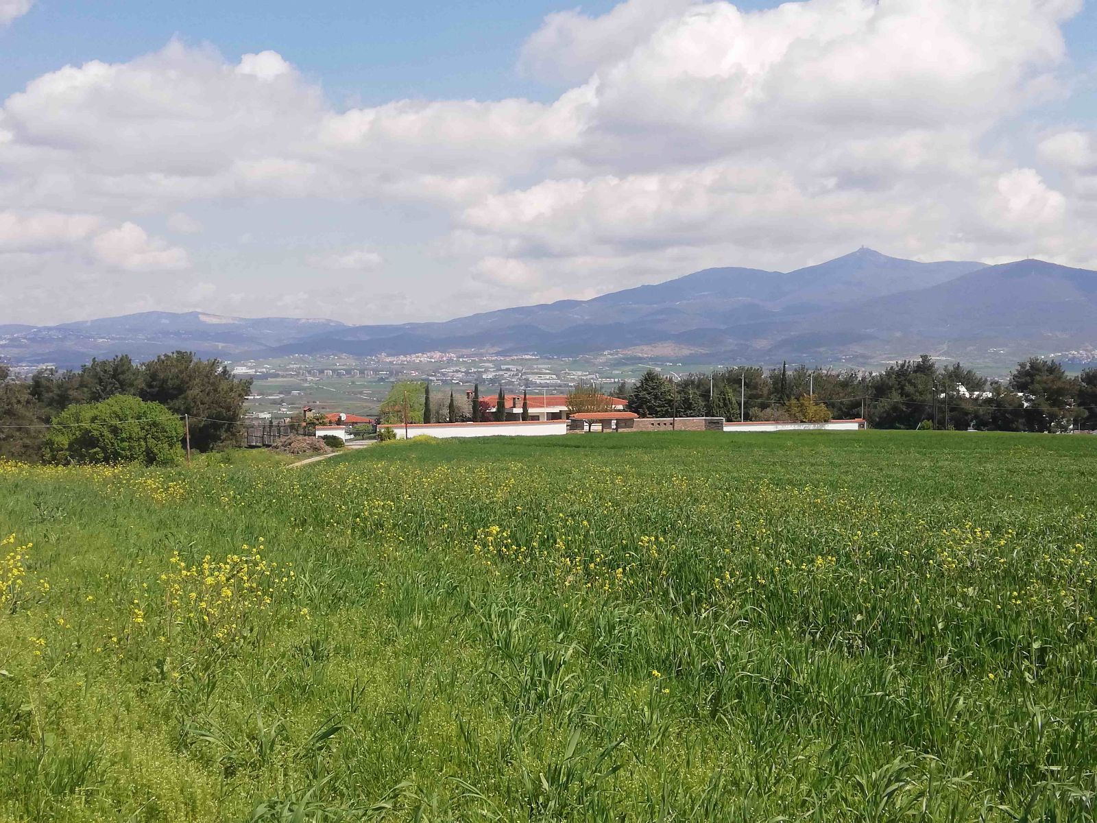 Parcel of 9000 m²