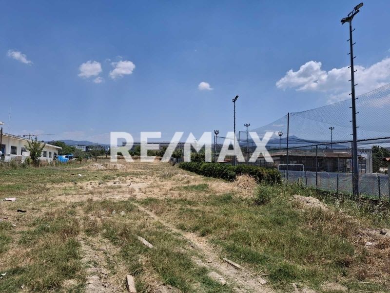 4336 m² Parcel