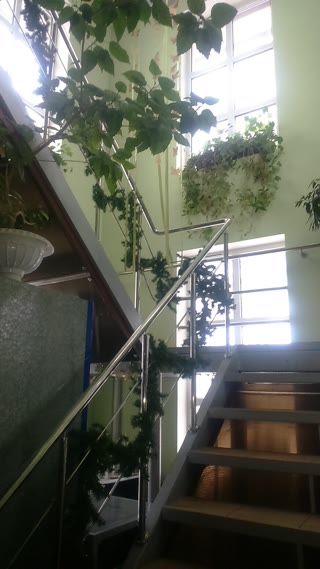 Комерційне приміщення 480 м2 центр фасад м. Волчанськ