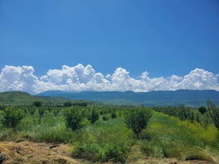 იყიდება მიწის ნაკვეტი კასპში