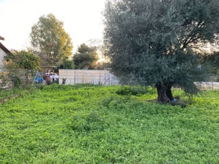 224 m² Plot