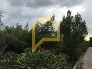 354 m² Plot
