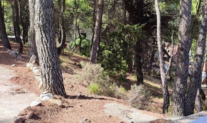 Οικόπεδο 1225 τ.μ.