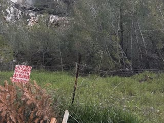 Участок 1300 м²